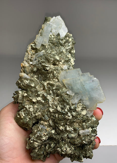 Amazing ! Blue Barite with Pyrite