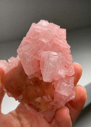 Pink Halite with Great Crystallization - from Searles Lake, California