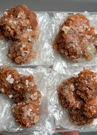 4 Piece Lot ! Aragonite Disco Ball Specimens