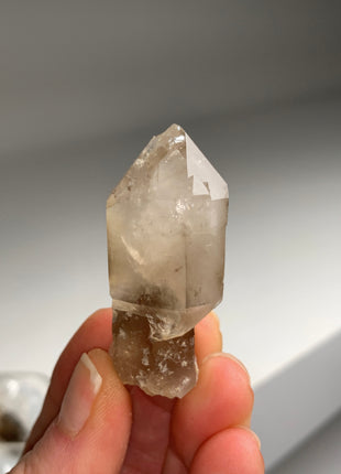 Smoky Scepter Quartz Lot - Hallelujah Junction, Nevada - 6 Pieces !