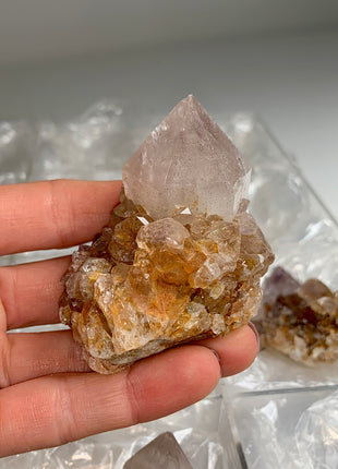 Cactus Quartz Smoky Amethyst Clusters Lot From South African Republic - 9 Pieces !