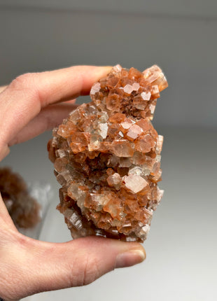 4 Piece Lot ! Aragonite Disco Ball Specimens