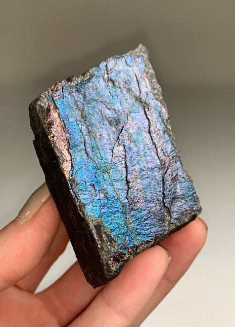 New ! Colorful Bornite Specimen π - From Lubin mine, Poland