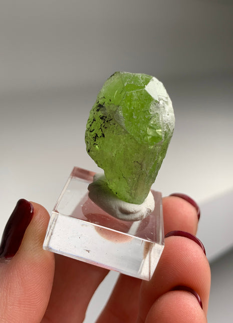 Green Diopside - Merelani Hills, Tanzania