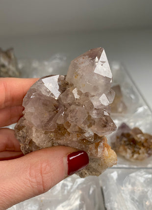 Cactus Quartz Smoky Amethyst Clusters Lot From South African Republic - 9 Pieces !