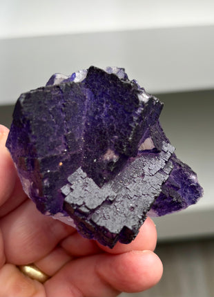 Blurple Fluorite from Muzquiz, Mexico