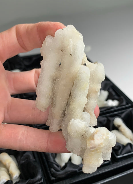 New ! White Coral Chalcedony Stalactite Lot - 23 pieces !