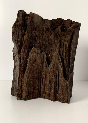 Stunning and Rare Permineralized Fossil Wood with Quartz From Germany - 8.2 kgs ! *