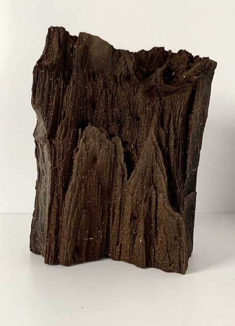 Stunning and Rare Permineralized Fossil Wood with Quartz From Germany - 8.2 kgs ! *