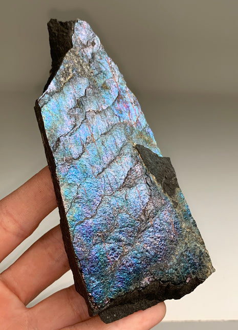 New ! Colorful Bornite Specimen π - From Lubin mine, Poland
