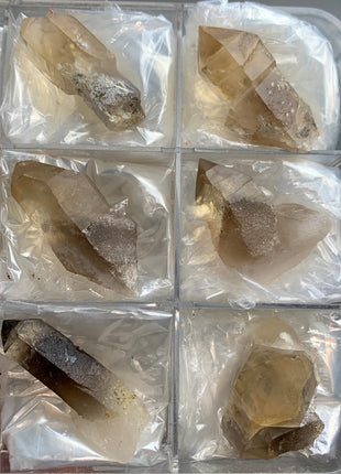 Smoky Scepter Quartz Lot - Hallelujah Junction, Nevada - 6 Pieces !