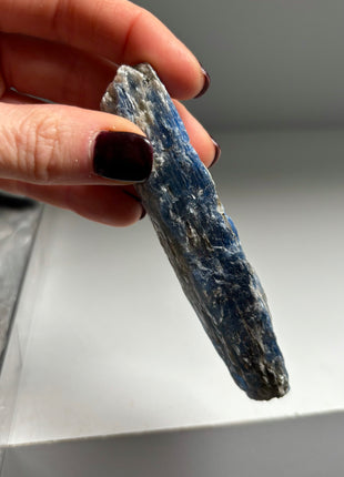 XL Size Blue Kyanite with Mica - From Zambia - 12 Pieces