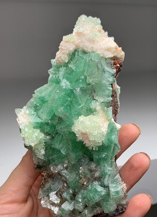 Green Apophyllite with Scolecite - Collection # 189