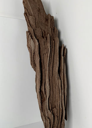 Our Finest ! Permineralized Fossil Wood with Quartz From Germany - 12+ kgs *