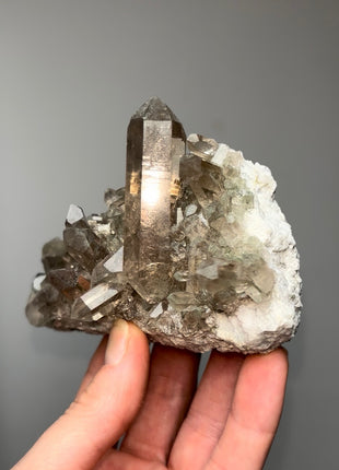 New ! Alpine Smoky Quartz
