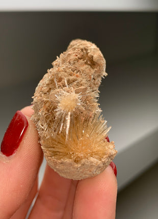 Bursting Sun Aragonite in Cluster - From Pantoja, Spain