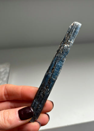 XL Size Blue Kyanite with Mica - From Zambia - 12 Pieces