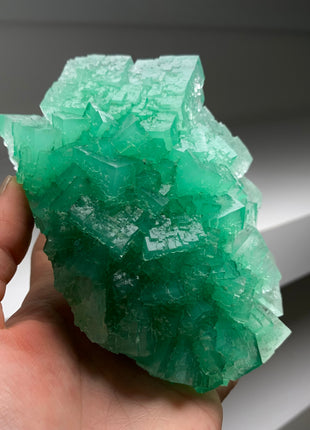 Cubic Green Halite with Atacamite inclusions - From Lubin mine, Poland