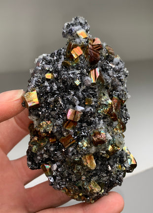 Iridescent Rainbow Pyrite with Sphalerite - Borieva mine, Rhodope Mtns