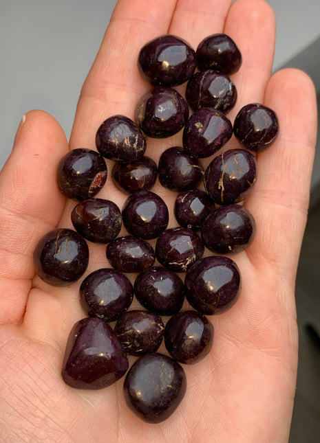 Star Garnet Lot - 25 Pieces