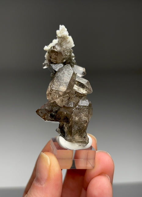 Towering Smoky Quartz - From Chamonix, French Alps