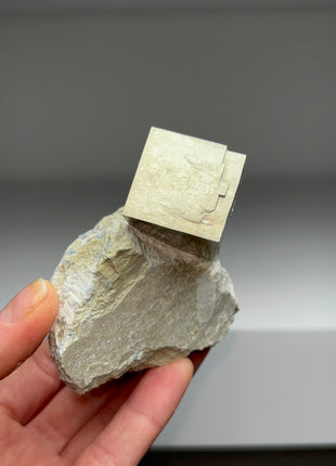 New ! Cubic Pyrite on Matrix from Navajun, Spain