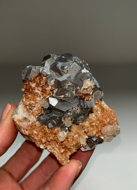 Galena with Rhodocrosite - From Trepca mine Kosovo