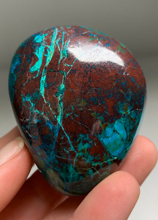 Bright Blue Chrysocolla with Red Cuprite and Green Malachite