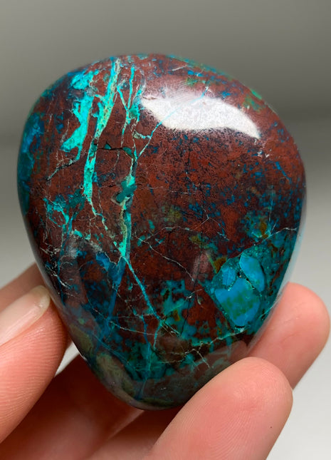 Bright Blue Chrysocolla with Red Cuprite and Green Malachite