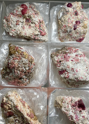 Raspberry Grossular Garnet Specimens Lot ! 6 Pieces !