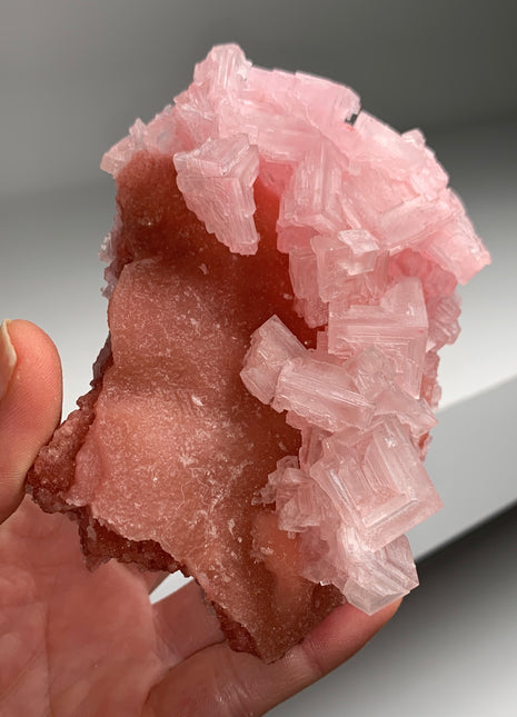 New ! Pink Halite with Great Crystallization - from Searles Lake, California