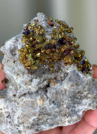 Chalcopyrite from Sweetwater mine, Missouri