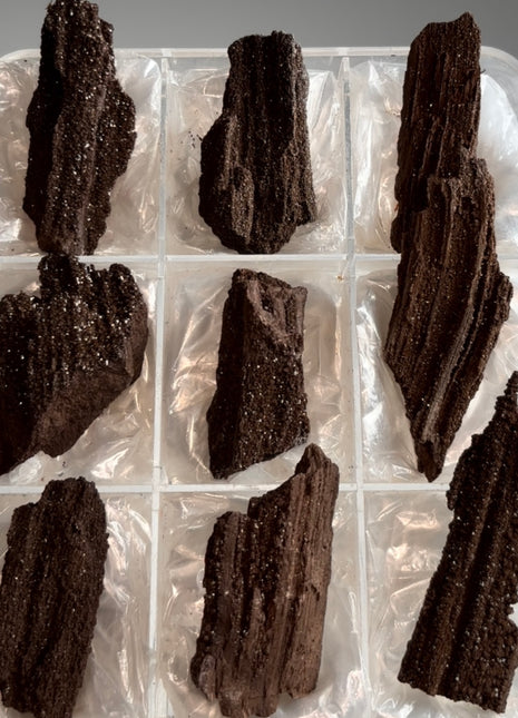 9 Piece Lot ! Rare Permineralized Fossil Wood with Quartz - From Germany