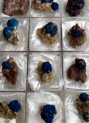 Rare Blueberry Azurite - 12 Piece Lot !