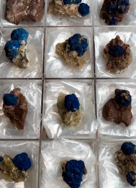 Rare Blueberry Azurite - 12 Piece Lot !