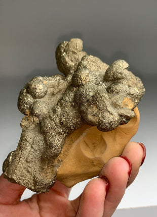 Unusual ! Pyrite on Rock Matrix Specimen