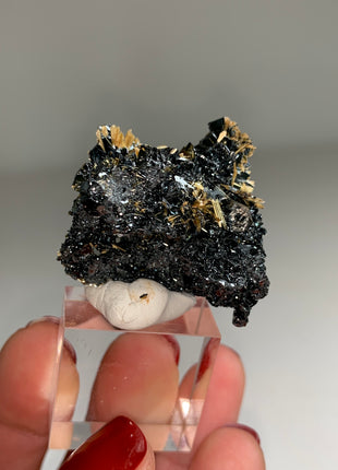 New Arrival !  Rutile with Shiny Hematite - From Brazil