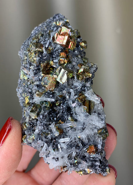 Rare Rainbow Pyrite with Sphalerite, Quartz - Borieva mine, Rhodope Mtns