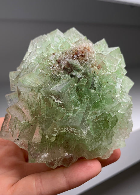 Rare Bicolor Transparent Green Halite - From Lubin mine, Poland