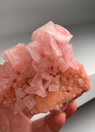 New ! Pink Halite with Great Crystallization - from Searles Lake, California