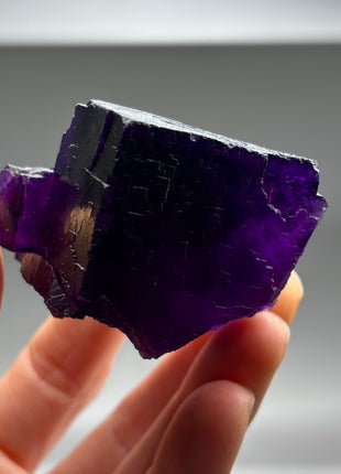 Extra Dark Purple Fluorite from Muzquiz, Mexico
