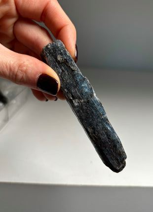 XL Size Blue Kyanite with Mica - From Zambia - 6 Pieces