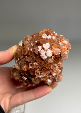 4 Piece Lot ! Aragonite Disco Ball Specimens