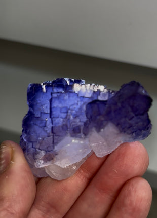 Blurple Fluorite from Muzquiz, Mexico