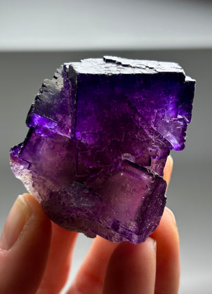 Purple Fluorite from Muzquiz, Mexico
