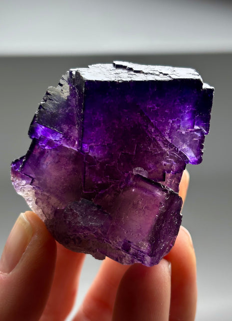 Purple Fluorite from Muzquiz, Mexico