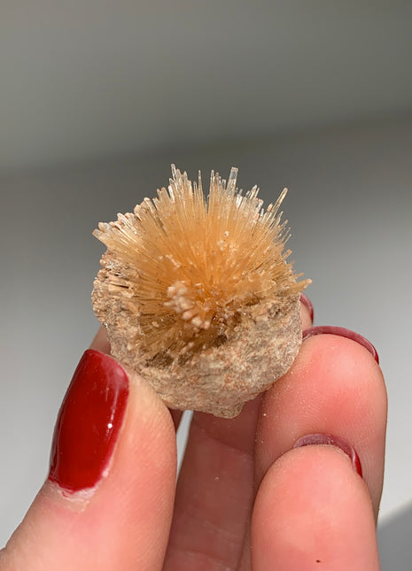 New Arrival ! Bursting Sun Aragonite Ball - From Pantoja, Spain