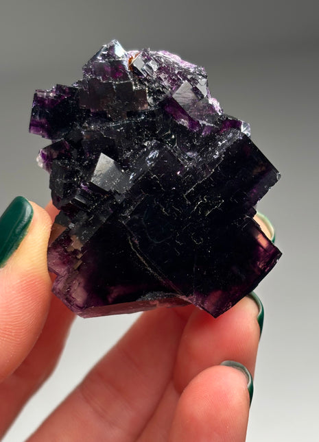 Dark Purple Fluorite  - From Okorusu, Namibia