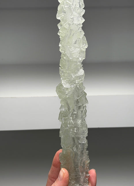 New ! Green Halite Stalactite - From Lubin mine, Poland