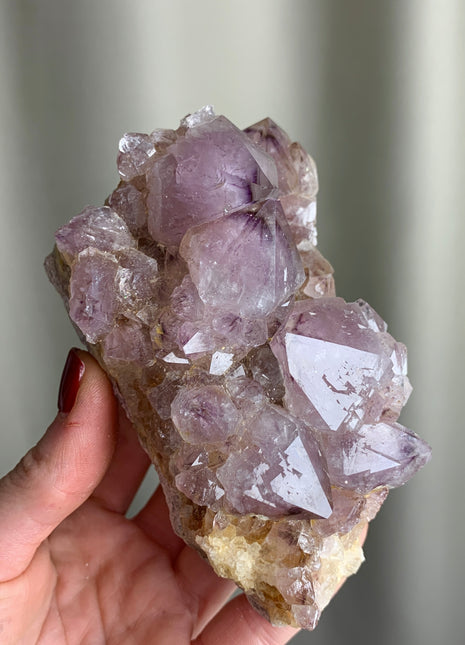 Wow ! Cactus Quartz with Big Crystals - From South African Republic